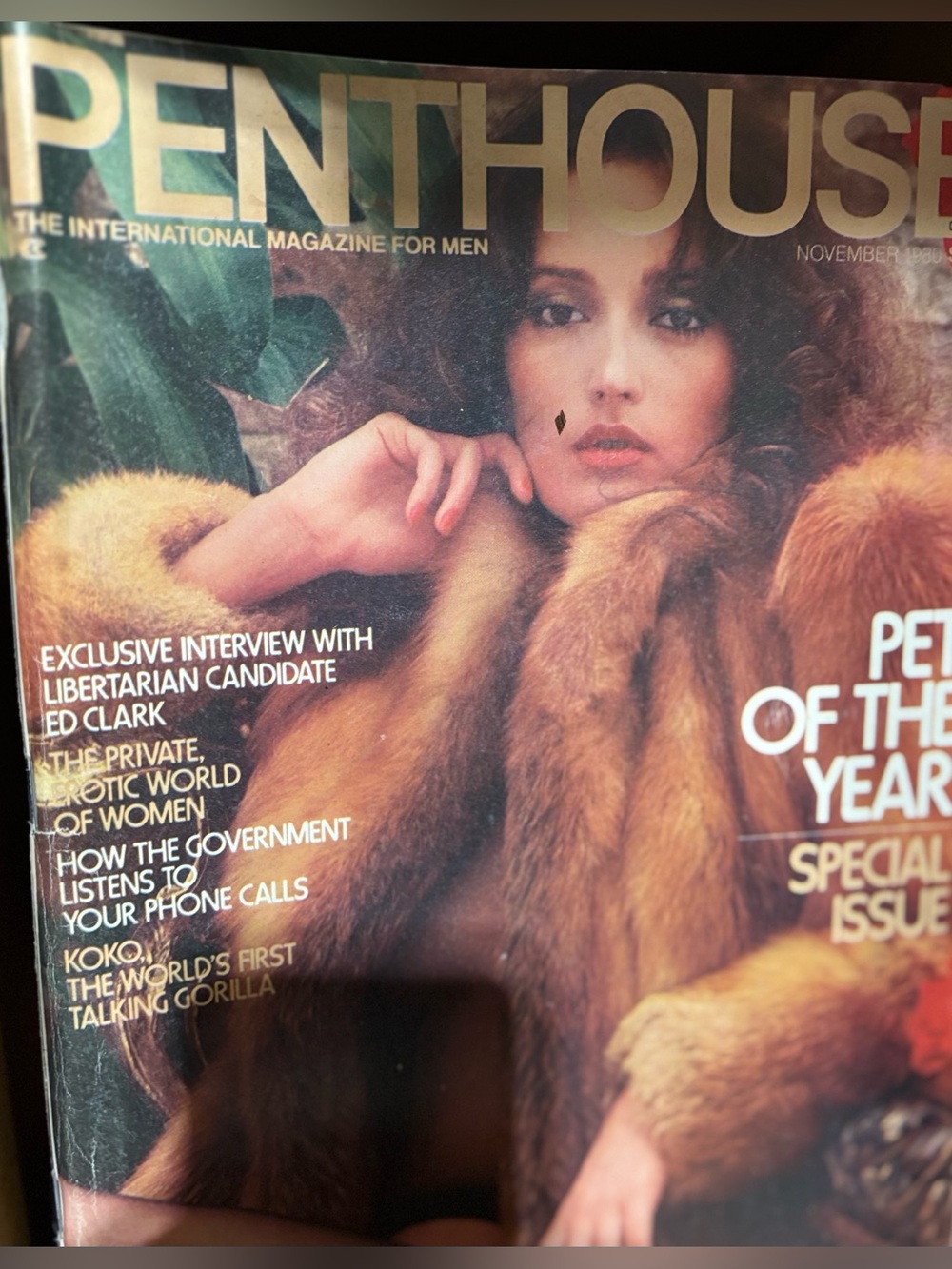 Vintage Penthouse Magazine Pet of the Year Issue - November 1980